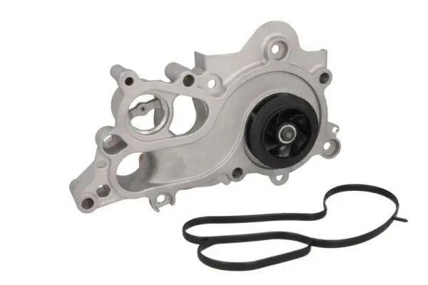 Thermotec D1W063TT Насос