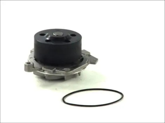 THERMOTEC D1D019TT Насос