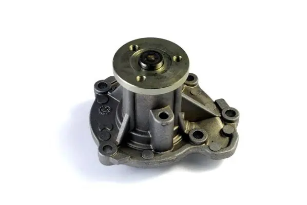 THERMOTEC D11071TT Насос