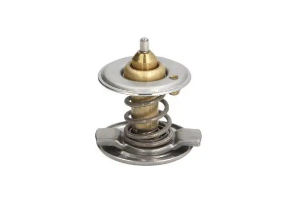THERMOTEC D2M001TT Термостат