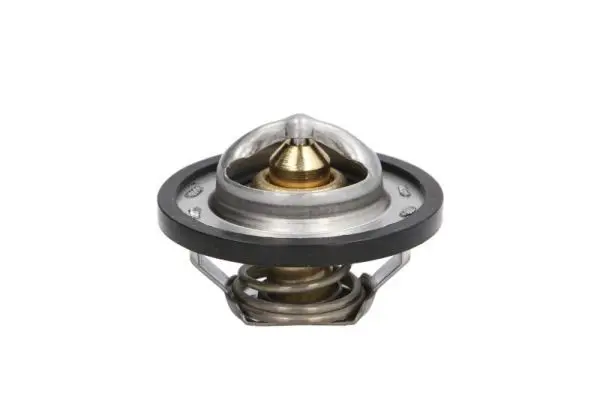 THERMOTEC D2R001TT Термостат
