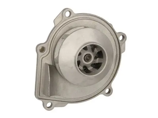 THERMOTEC D1Y077TT Насос