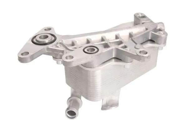 THERMOTEC D4W011TT масляный радиатор,
