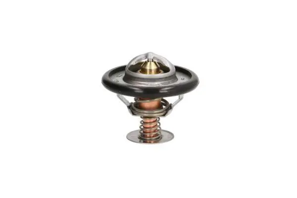 THERMOTEC D2C002TT Термостат