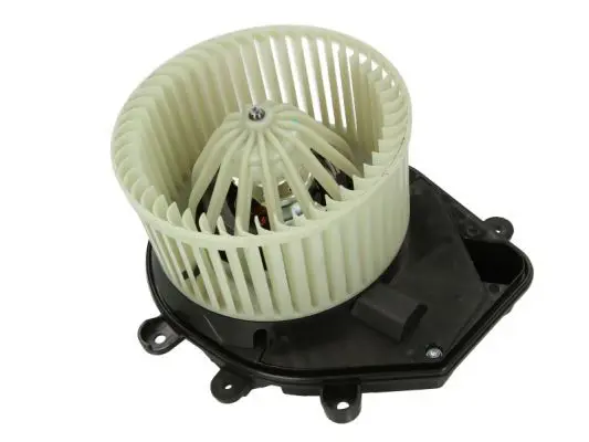THERMOTEC DDW006TT Электродвигатель
