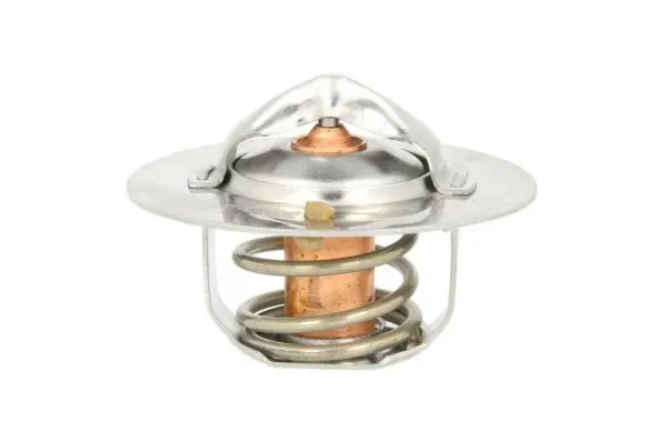 THERMOTEC D20301TT Термостат