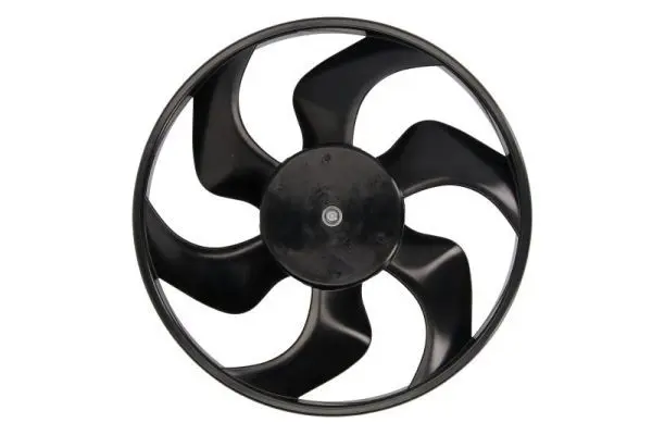 THERMOTEC D81002TT Вентилятор, охлаждение