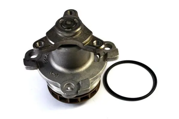 THERMOTEC D11081TT Насос