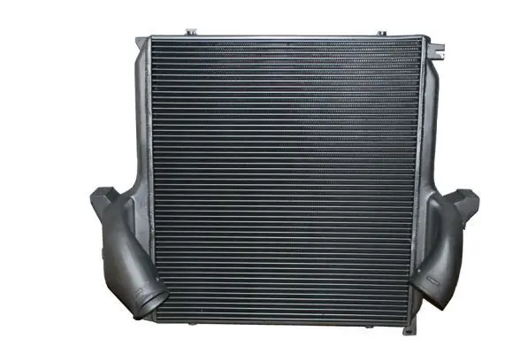 THERMOTEC DAME001TT Теплообменник