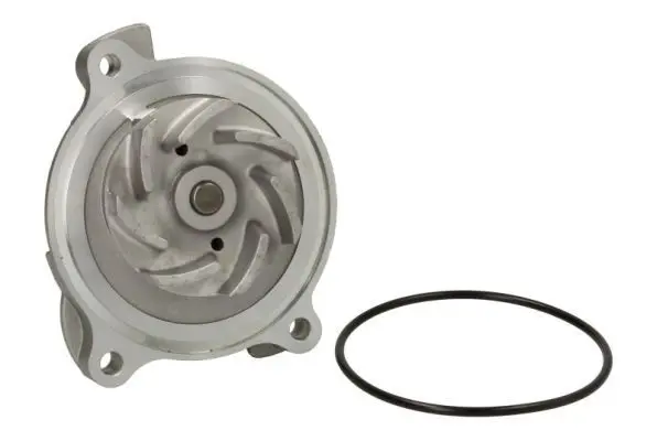 THERMOTEC D1W018TT Насос