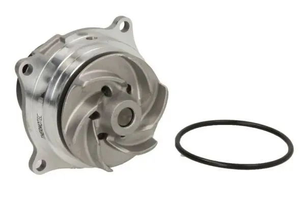 THERMOTEC D1G002TT Насос