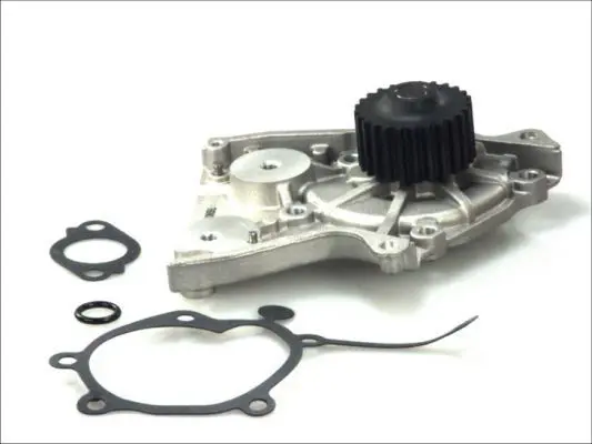THERMOTEC D10301TT Насос