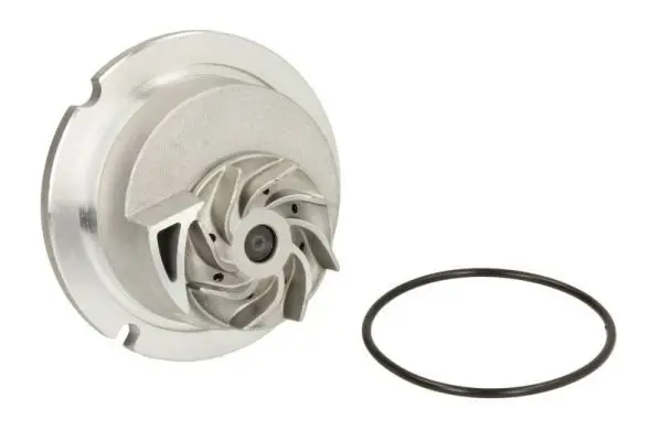 THERMOTEC D1X029TT Насос
