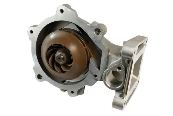 THERMOTEC D1G055TT Насос