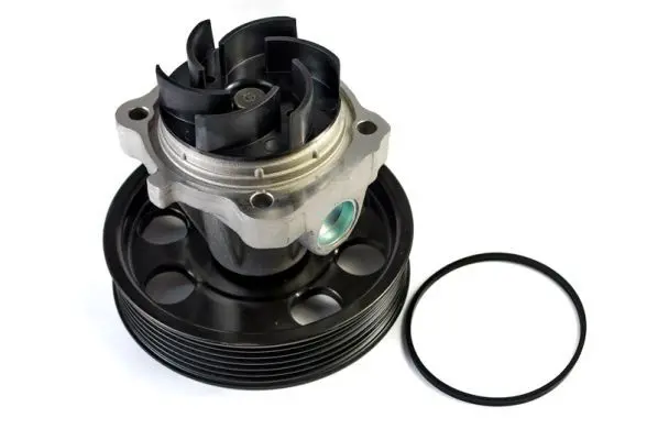 THERMOTEC D1F074TT Насос