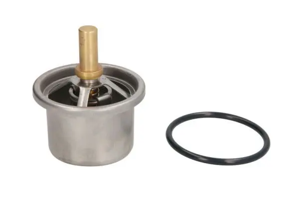 THERMOTEC D2DA006TT Термостат