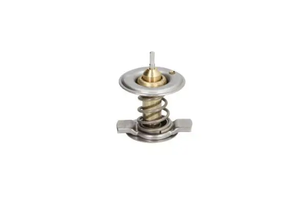 THERMOTEC D2M002TT Термостат