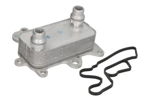 THERMOTEC D4F009TT масляный радиатор,