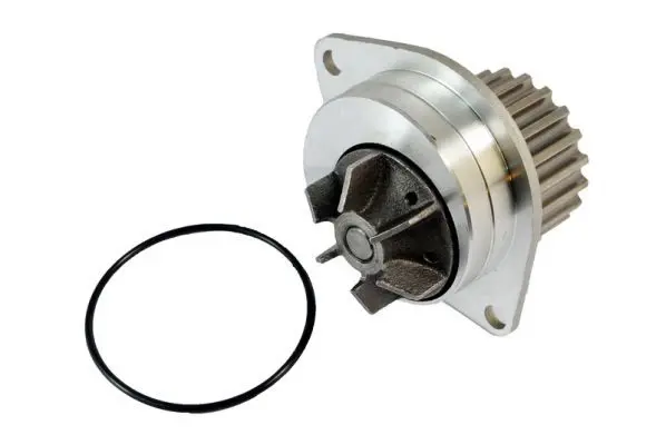 THERMOTEC D1P019TT Насос