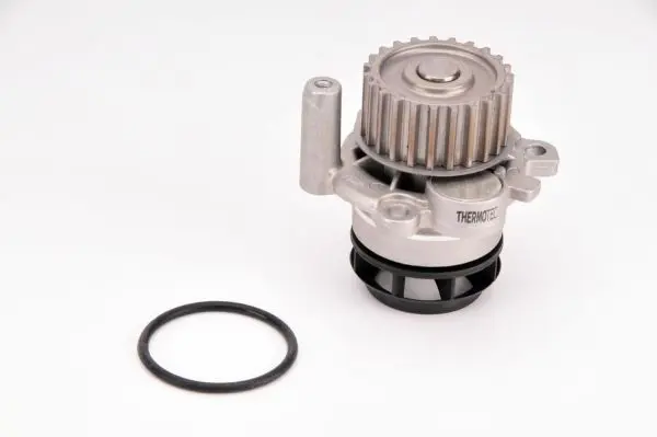 THERMOTEC D1W050TT Насос