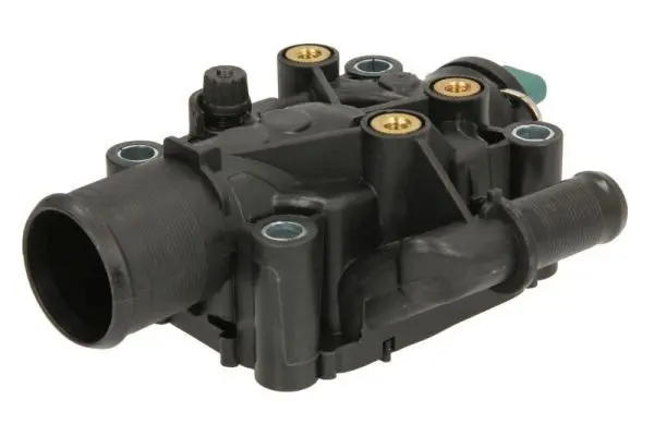 THERMOTEC D2C006TT Термостат, охлаждающая