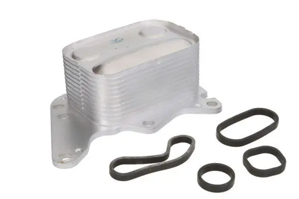 Thermotec D4C010TT масляный радиатор,