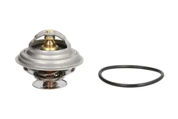 THERMOTEC D2A003TT Термостат