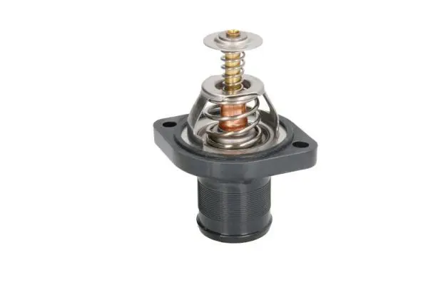 THERMOTEC D2C004TT Термостат, охлаждающая
