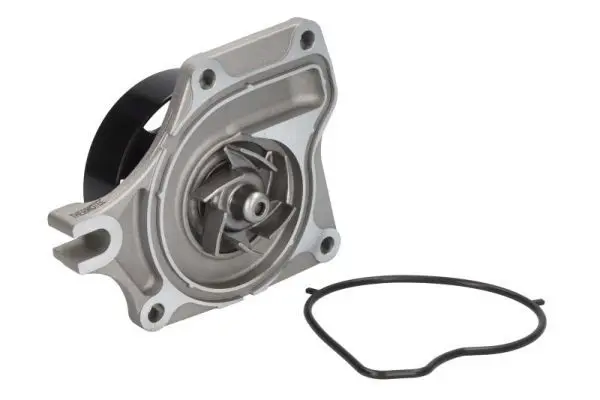 THERMOTEC D13041TT Насос