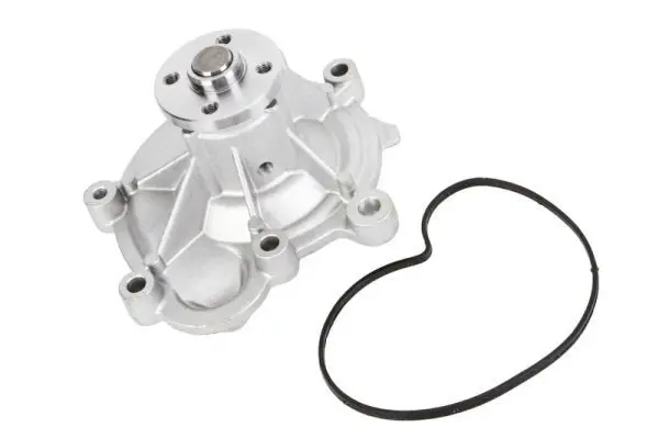 THERMOTEC D1M054TT Насос
