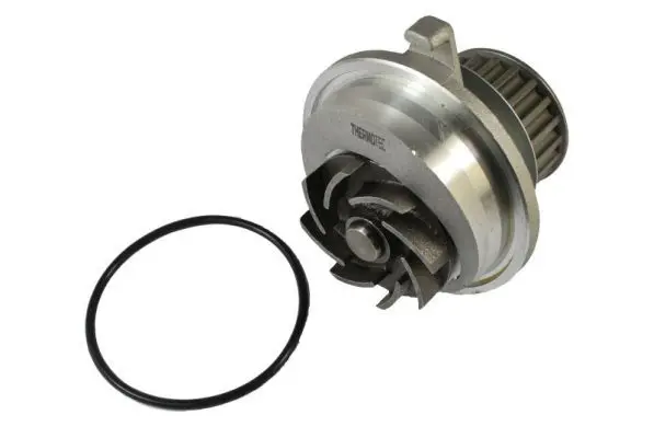 THERMOTEC D1X019TT Насос