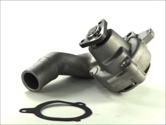 THERMOTEC D1G039TT Насос
