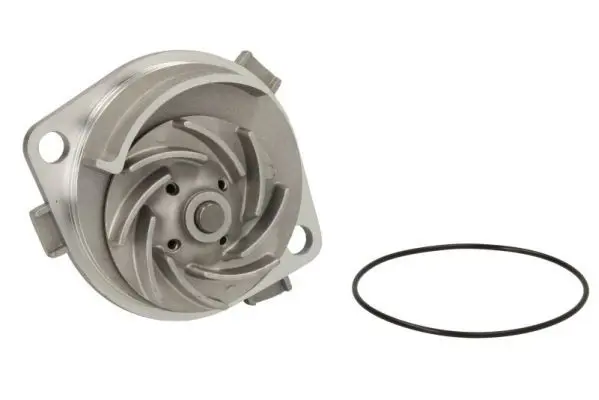 THERMOTEC D1F060TT Насос