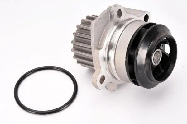 THERMOTEC D1W049TT Насос