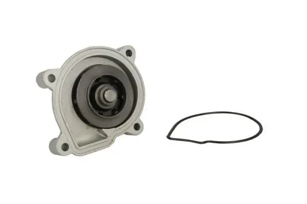 THERMOTEC D1W056TT Насос