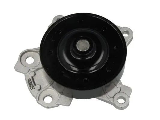 THERMOTEC D12096TT Насос