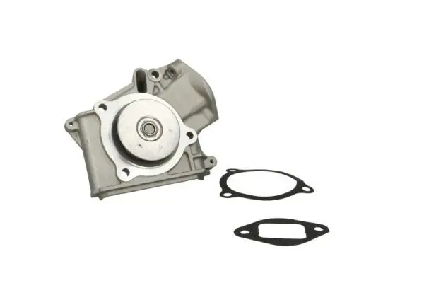 THERMOTEC D10316TT Насос