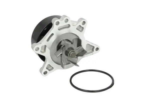 THERMOTEC D12083TT Насос