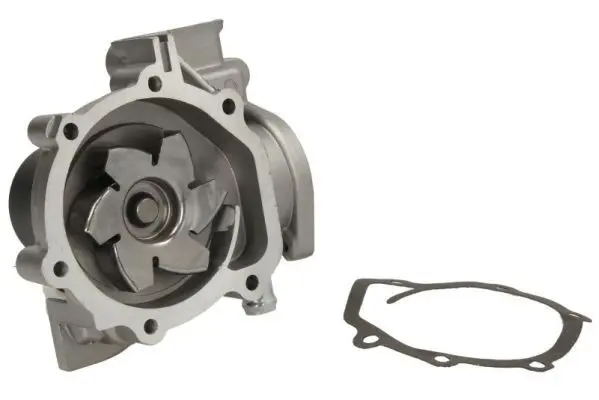 THERMOTEC D17007TT Насос