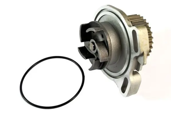 THERMOTEC D1A010TT Насос