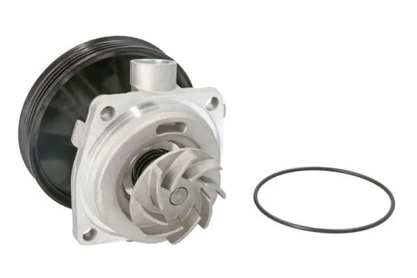 THERMOTEC D1F065TT Насос