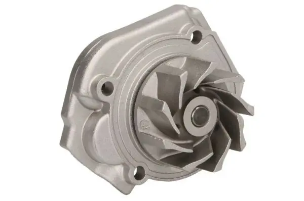 THERMOTEC D1F076TT Насос