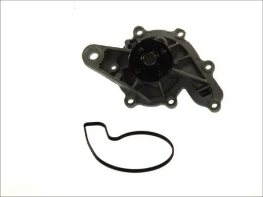 THERMOTEC D1M043TT Насос