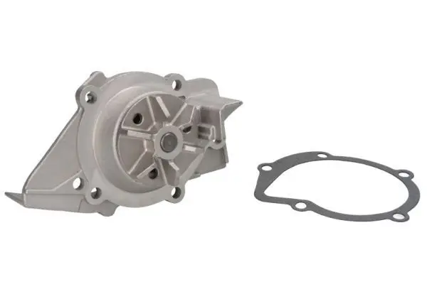 THERMOTEC D1P021TT Насос