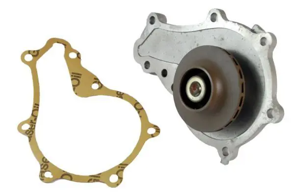 THERMOTEC D1P036TT Насос