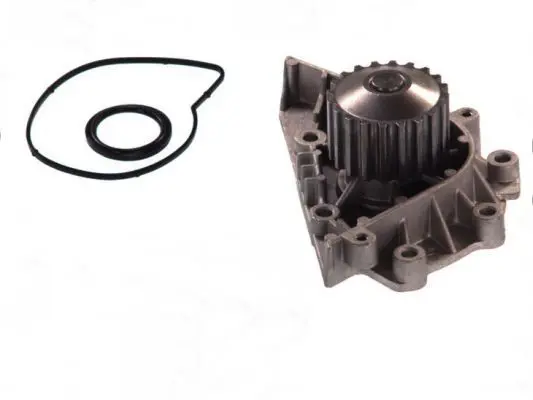 THERMOTEC D1P042TT Насос
