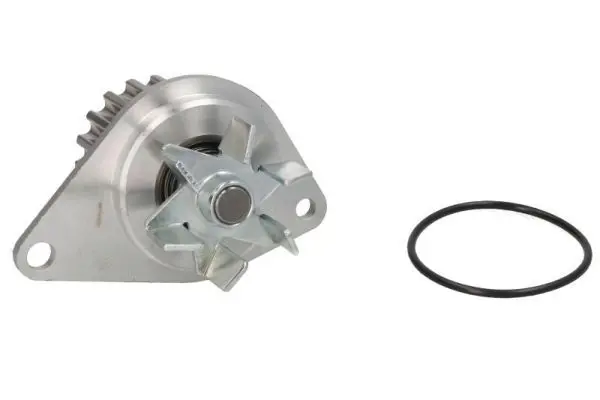 THERMOTEC D1P043TT Насос
