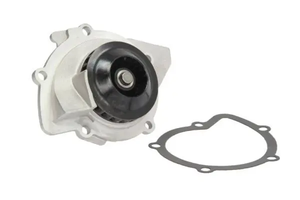 THERMOTEC D1P048TT Насос