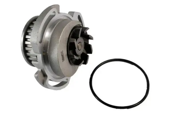 THERMOTEC D1W003TT Насос