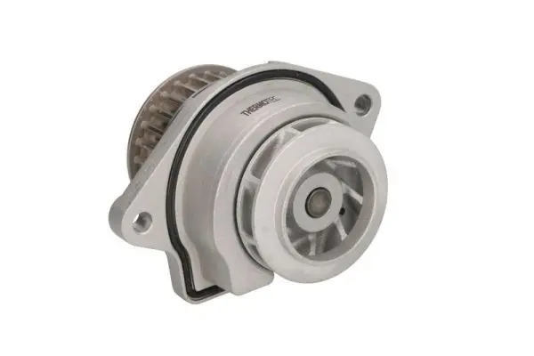 THERMOTEC D1W019TT Насос